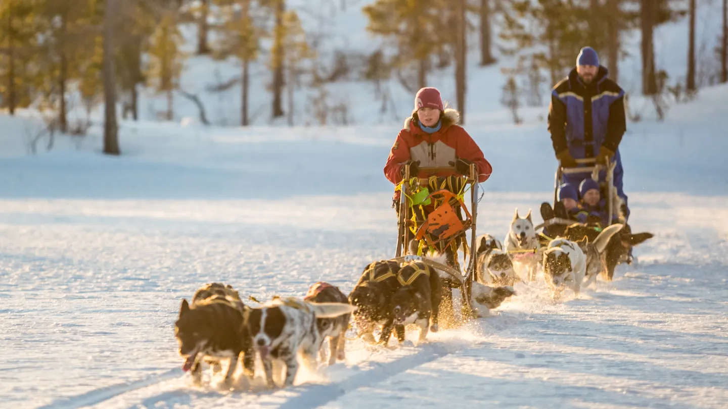 Dogsledding