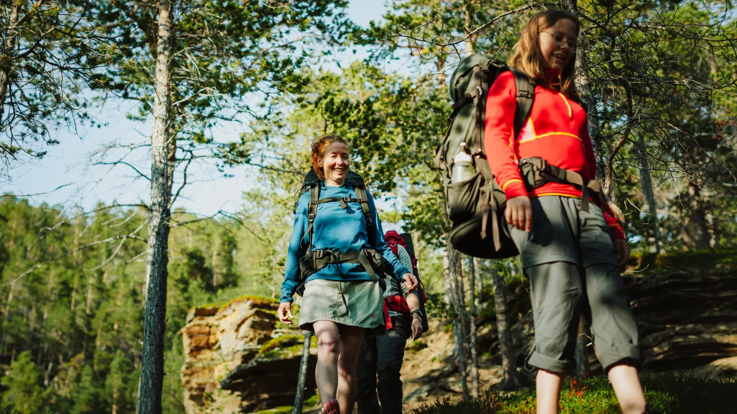 Hiking in the pine forest