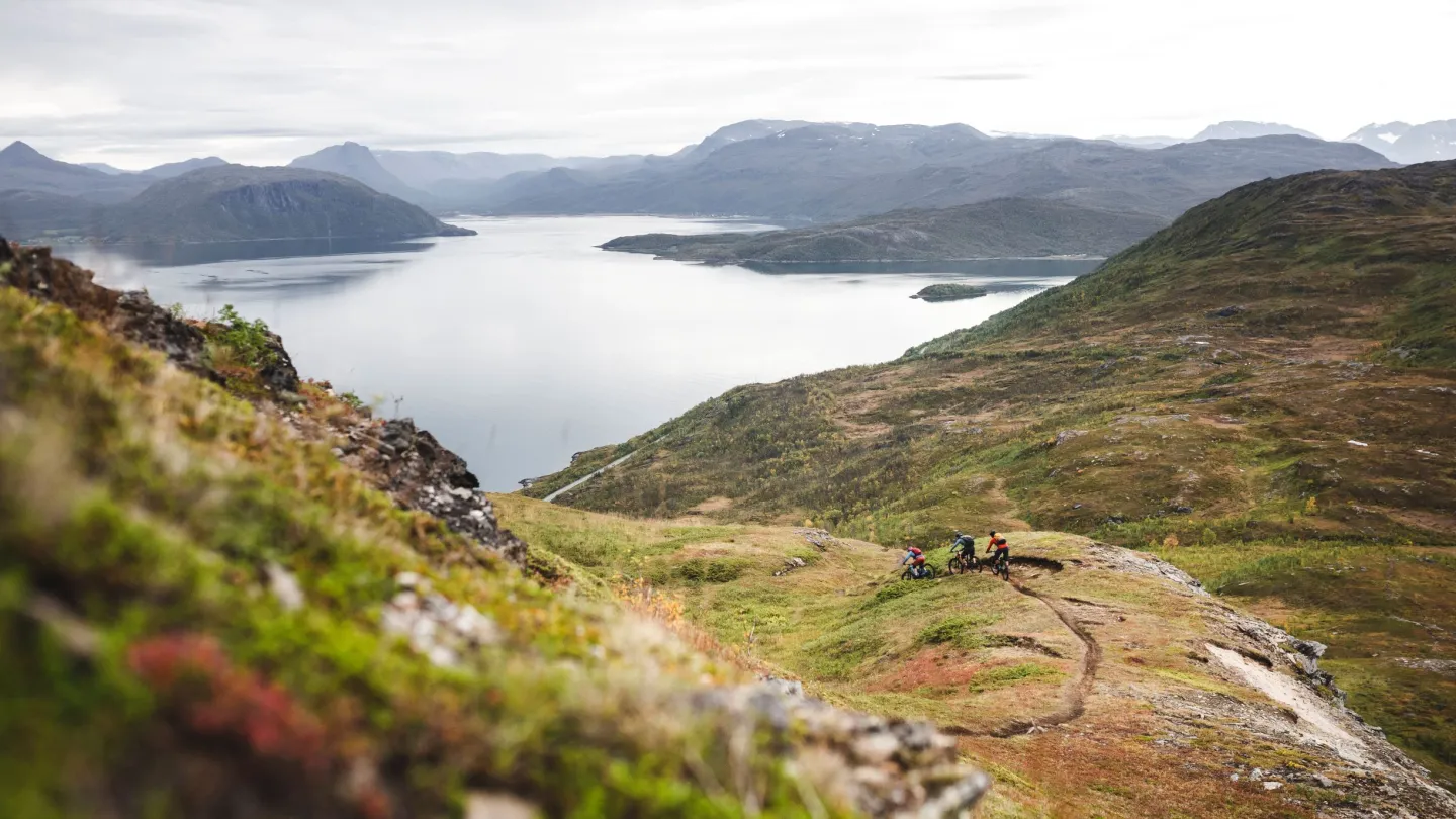 Mountain biking in autumn colours with a fjord view