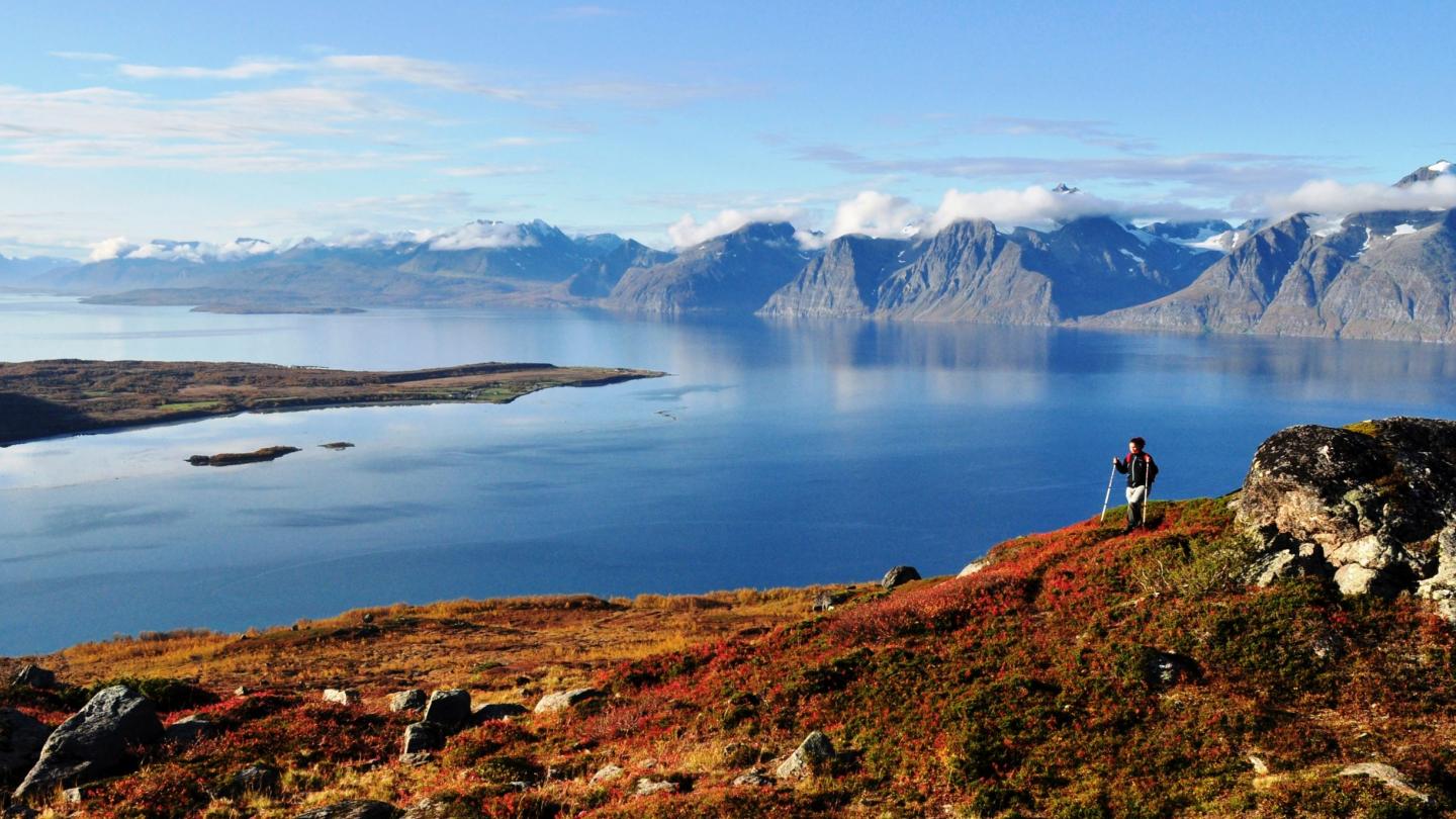 Hiking Uløya in autumn colours, view of the Lyngenfjord and the Lyngen Alps